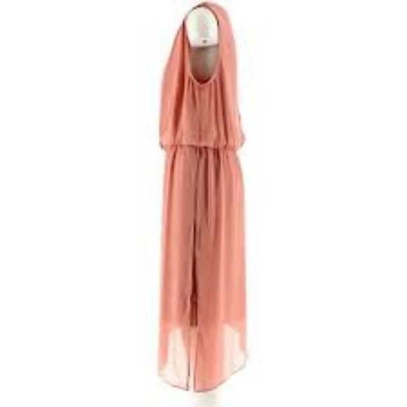 NWT H HALSTON DRAPED CHIFFON ROSE OVERLAY DRESS 14 - Picture 5 of 12